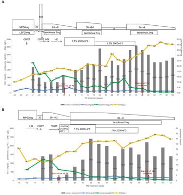Successful treatment of peritoneal dialysis for two patients with refractory nephrotic syndrome and acute kidney injury: a case report